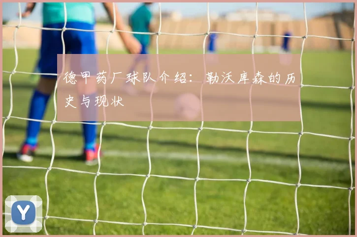 德甲药厂球队介绍：勒沃库森的历史与现状