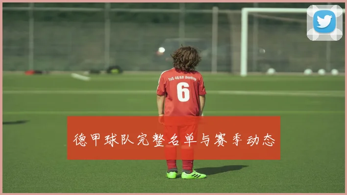 德甲球队完整名单与赛季动态