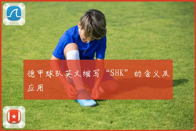 德甲球队英文缩写“SHK”的含义及应用