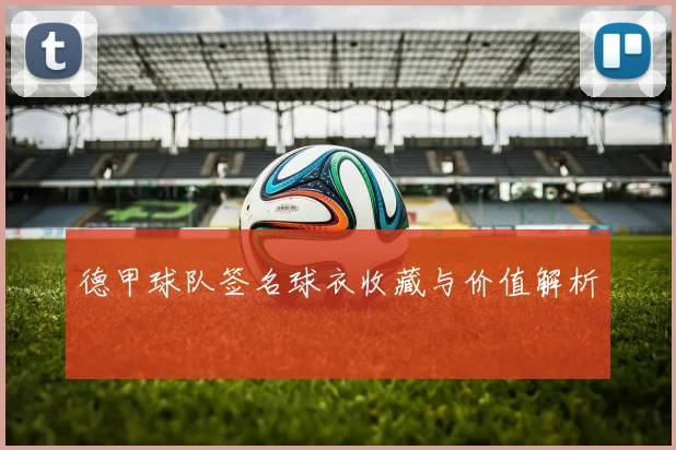 德甲球队签名球衣收藏与价值解析