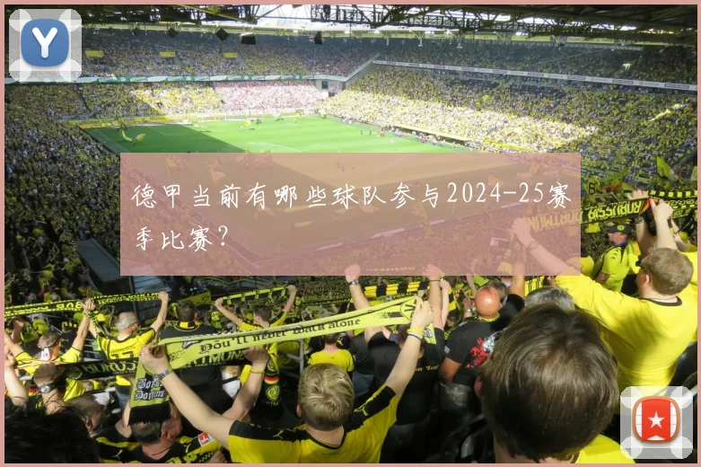 德甲当前有哪些球队参与2024-25赛季比赛?