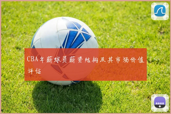 CBA年薪球员薪资结构及其市场价值评估